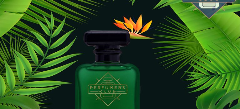 Rebel Perfume