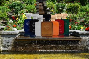 Perfume Gift Sets